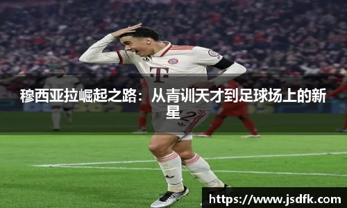 xk星空官方网